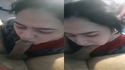 Beautiful Pakistani Sex Girl Viral Sucking Dick